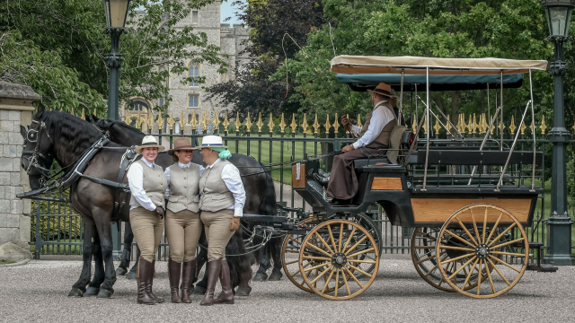 Windsor Carriages