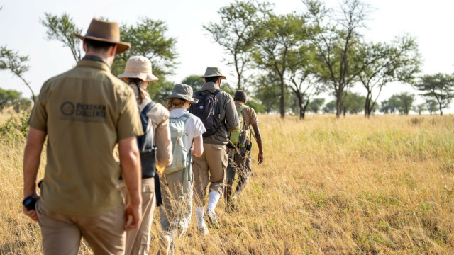 African Environments