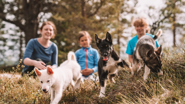 Tromsø Villmarkssenter