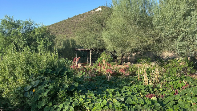 Mission Garden