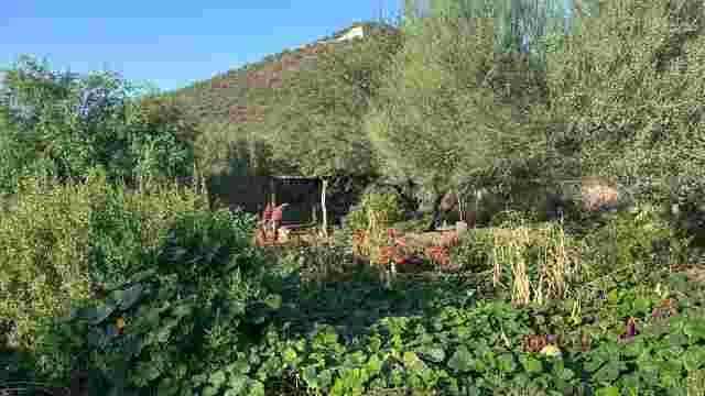 Mission Garden