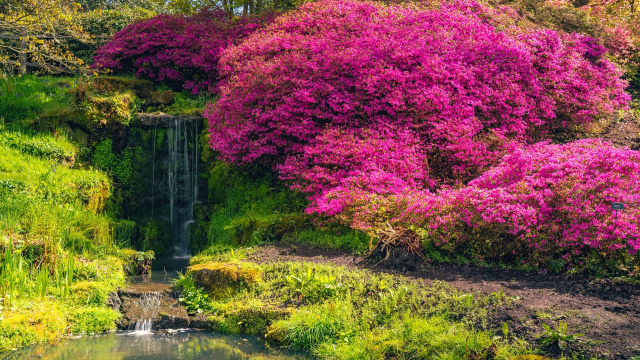 Kew Wakehurst